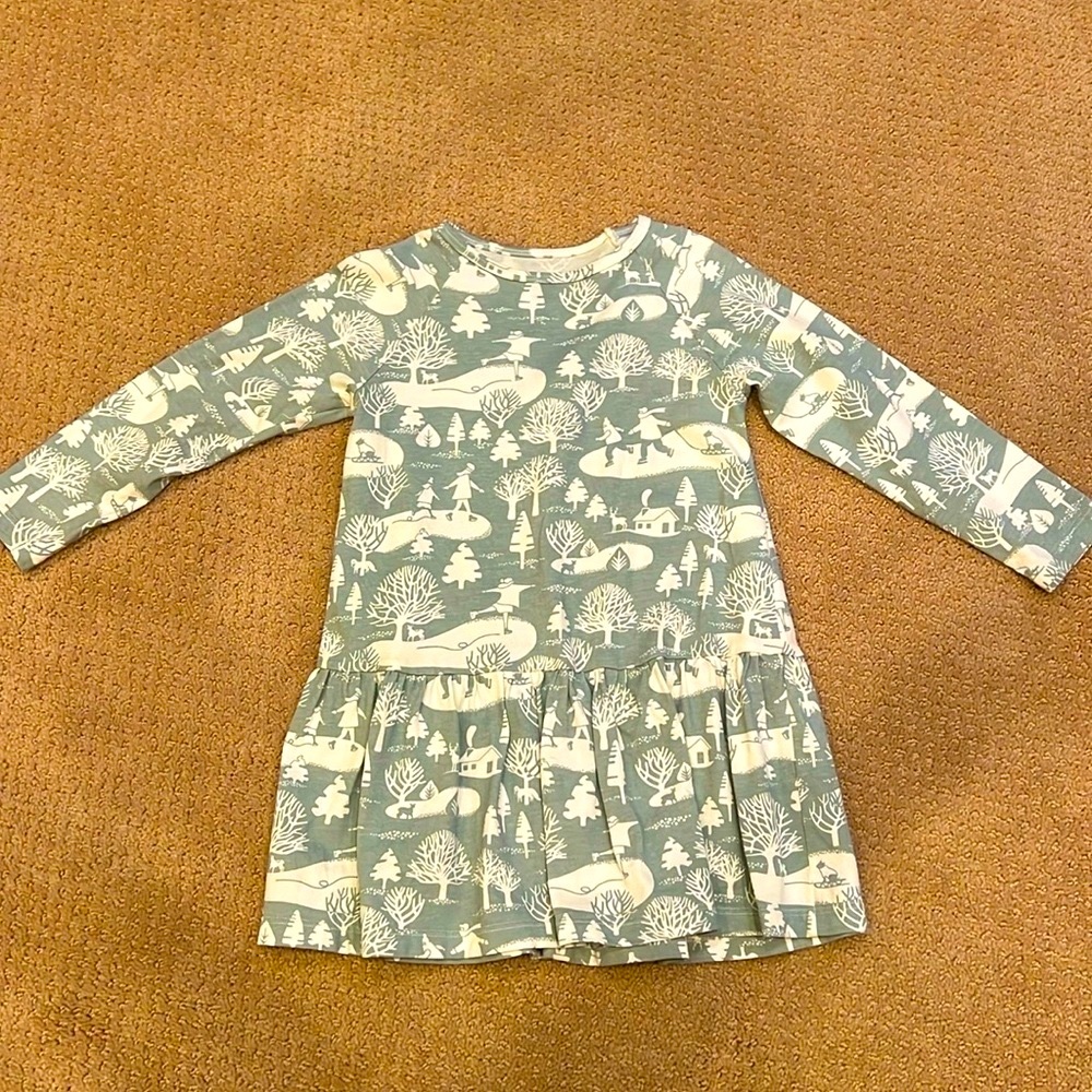 Winter water factory girls dress size 4T